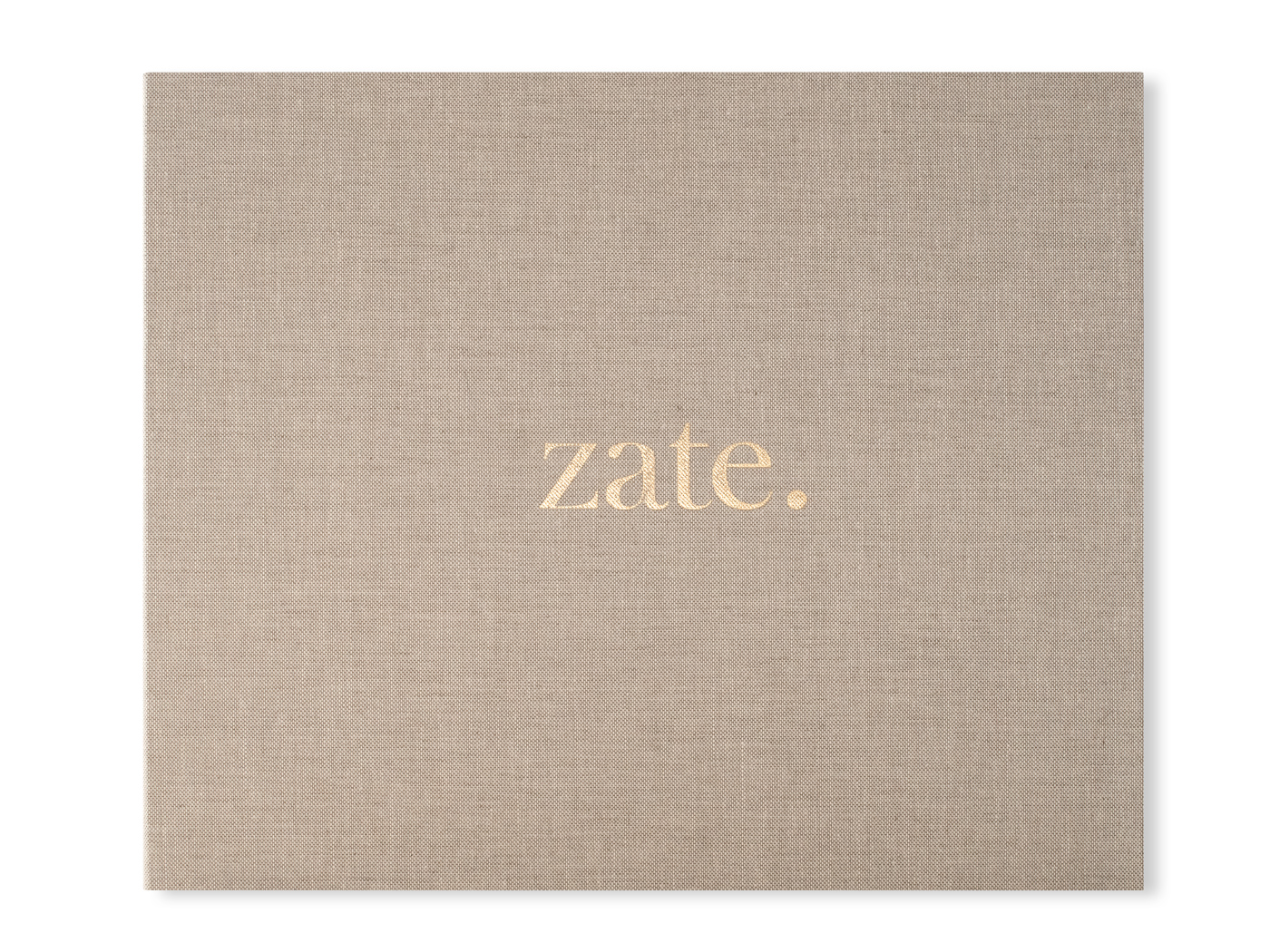 Bez_dojenckov_album_zate_studio_4x3_x0kg4x Bez_dojenckov_album_zate_studio_4x3_x0kg4x